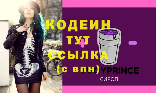 гашик Арсеньев