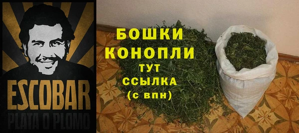 гашик Арсеньев