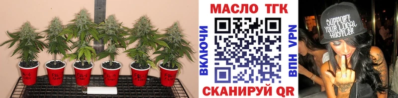 ТГК гашишное масло  Купить  Белый 